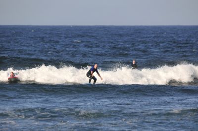  DSC1178