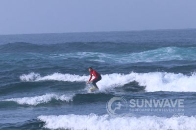 IMG 7992